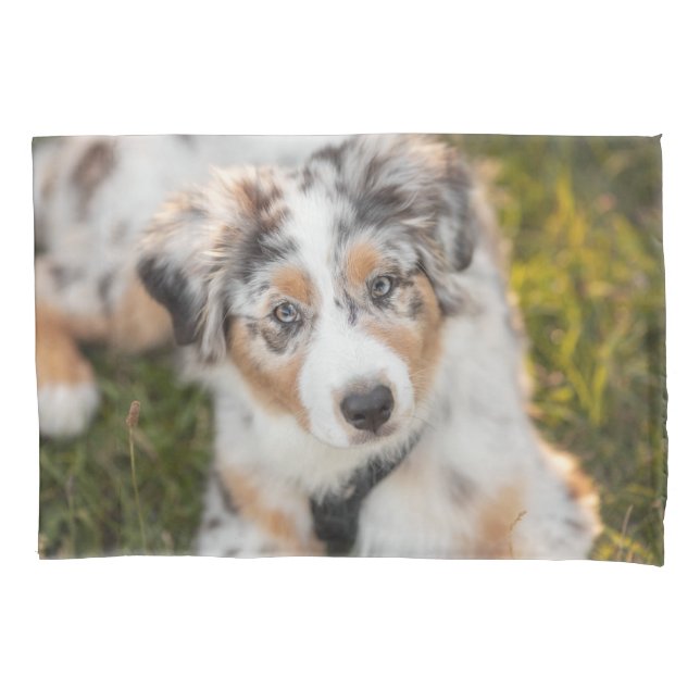 Housse D'oreillers Animaux de bébés cutest | Australian Shepherd Pupp (devant)