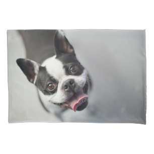 Housse D'oreillers Animaux de bébés cutest Boston Bulldog Smile