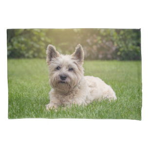 Housse D'oreillers Animaux de bébés cutest   Cairn Terrier Dog