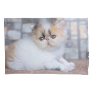 Housse D'oreillers Animaux de bébés cutest Calico Persian Kitten