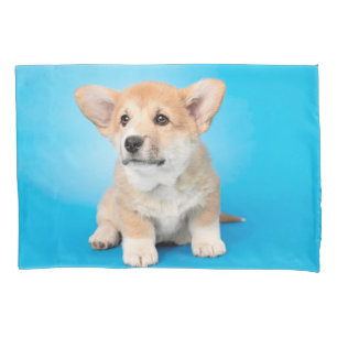 Housse D'oreillers Animaux de bébés cutest Chiot de Corgi en bleu