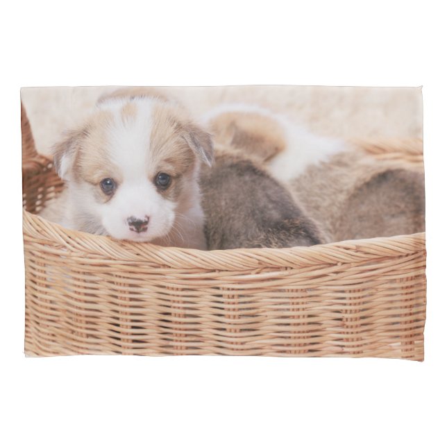 Housse D'oreillers Animaux de bébés cutest | Corgi Miny Puppy (devant)