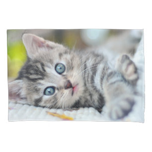 Housse D'oreillers Animaux de bébés cutest Kitten aux yeux bleus