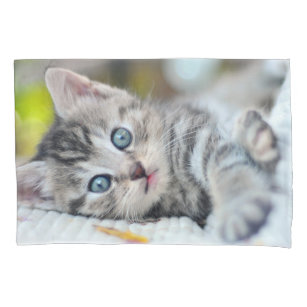 Housse D'oreillers Animaux de bébés cutest   Kitten aux yeux bleus