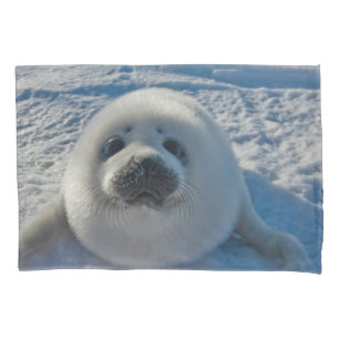 Housse D'oreillers Animaux de bébés cutest   Phoque bébé