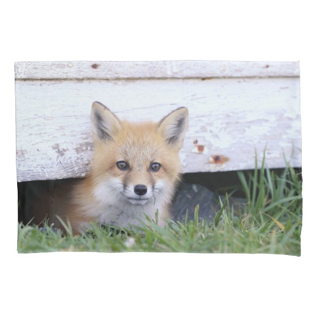 Housse D'oreillers Animaux de bébés cutest | Red Fox Kit Peeking (devant)