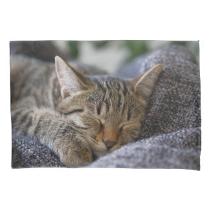 Housse D'oreillers Animaux de bébés cutest Tabby Kitten Sommeil