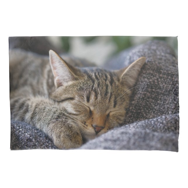 Housse D'oreillers Animaux de bébés cutest | Tabby Kitten Sommeil (devant)