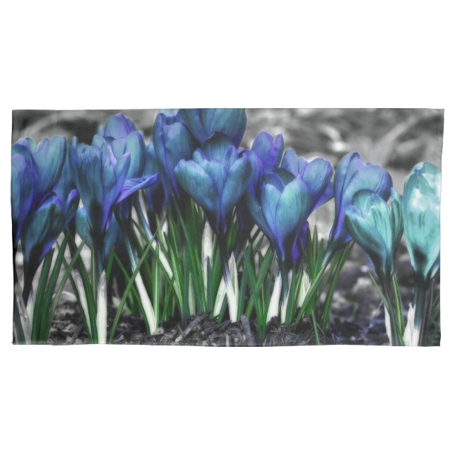 Housse D'oreillers Aqua Blue Crocus Blooms (devant)