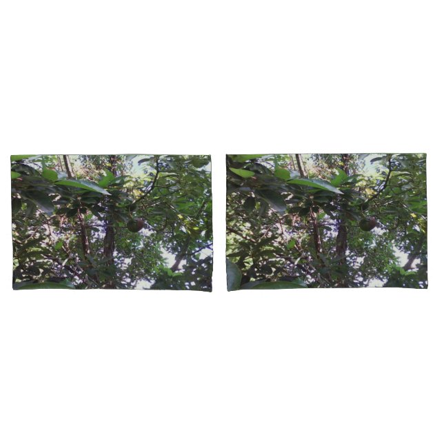 Housse D'oreillers Arbre d'avocat (devant-Set)