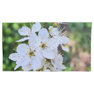 Housse D'oreillers Arbre en Fleurs au Printemps Roumanie – Photograph