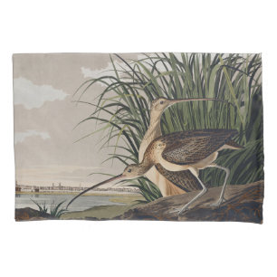 Housse D'oreillers Art vintage d'oiseau Courlis à long bec d'Audubon