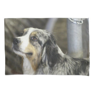 Housse D'oreillers Aussie