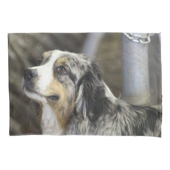 Housse D'oreillers Aussie (devant)