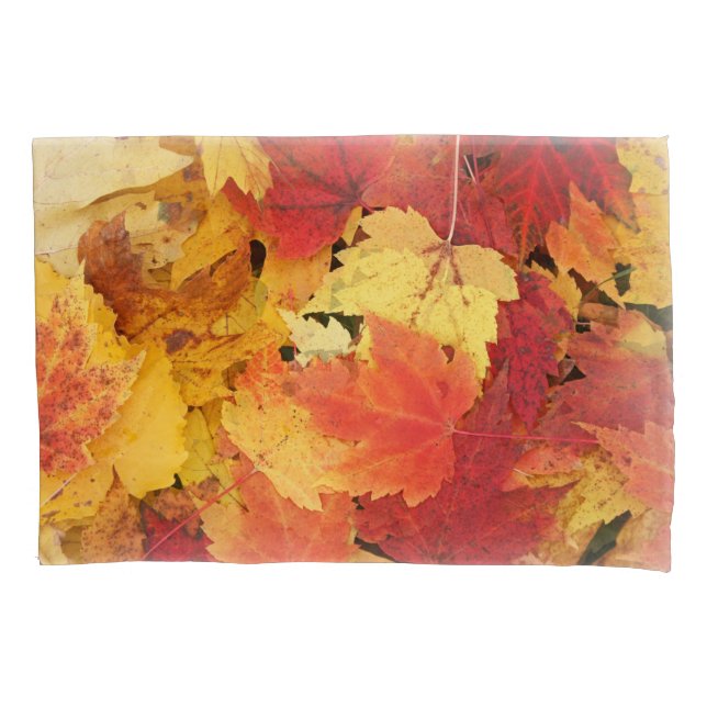 Housse D'oreillers Autumn Leaves Pilote (devant)