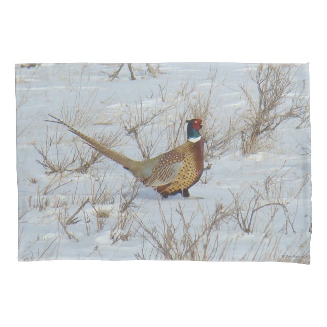 Housse D'oreillers B22 Faisan à collier dans la neige (devant)