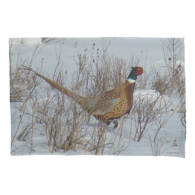 Housse D'oreillers B23 Faisan à collier dans la neige (devant)