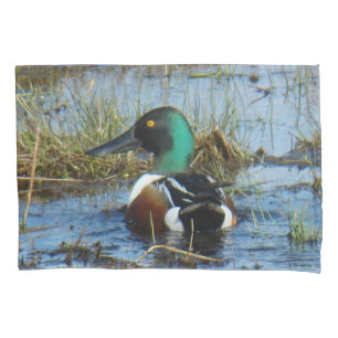 Housse D'oreillers B25 Canard souchet mâle Spatule