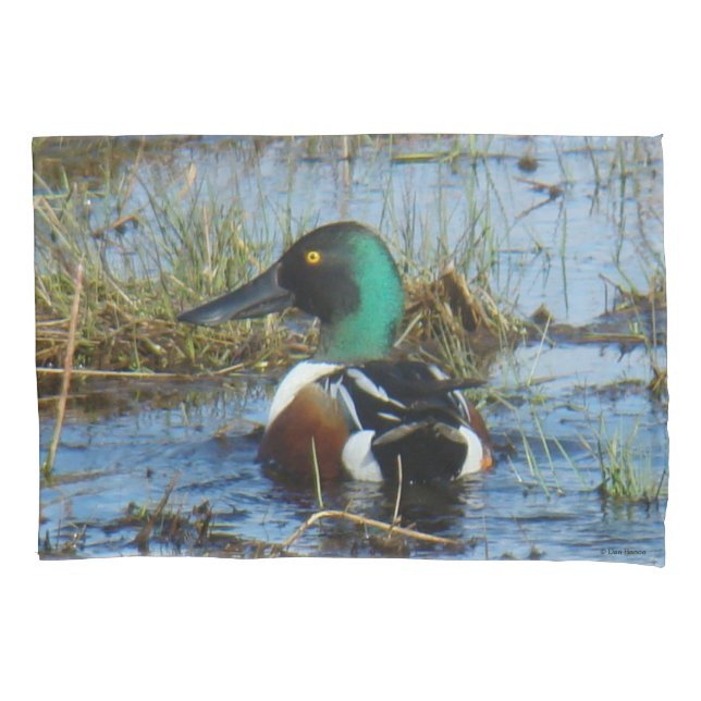 Housse D'oreillers B25 Canard souchet mâle Spatule (devant)
