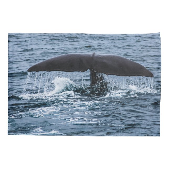 Housse D'oreillers Baleine de Sperm (Dos)