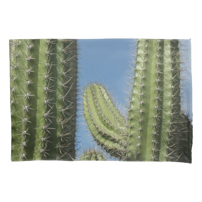 Housse D'oreillers Barrel Cactus I Desert Photo (devant)