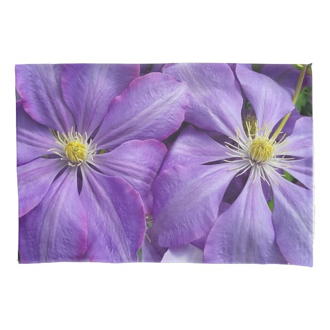 Housse D'oreillers beauté clematis violette (devant)