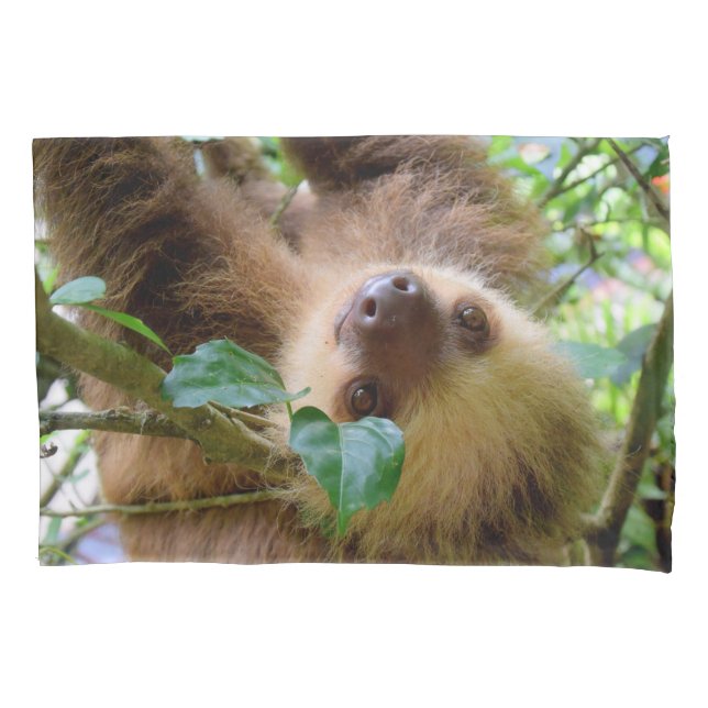 Housse D'oreillers Bébé Sloth (devant)