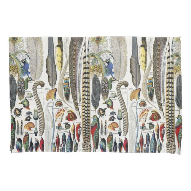 Housse D'oreillers Bird Feather Wildlife Antique Feathers Art Nouveau (devant)