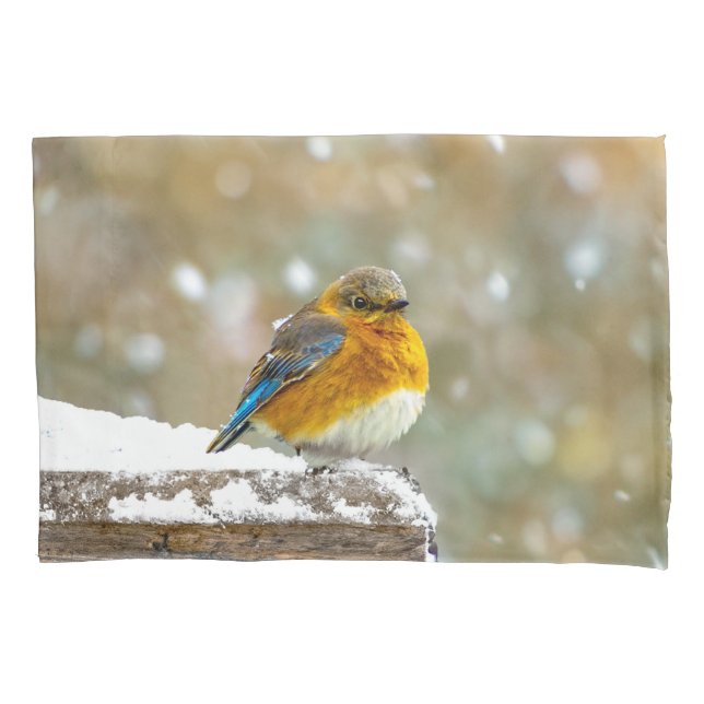 Housse D'oreillers Bleuet de l'Est en neige - Photo originale (devant)