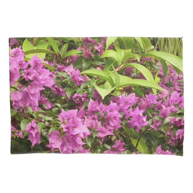 Housse D'oreillers Bougainvillées tropicales violettes (devant)
