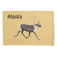 Bull Caribou