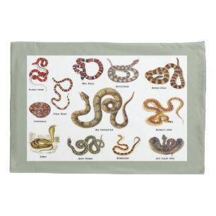 Housse D'oreillers Caisse de coussin d'identification de serpent