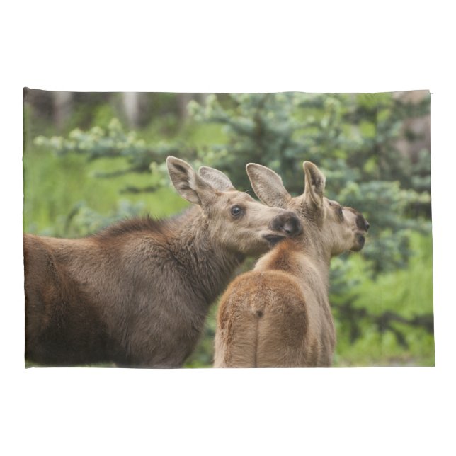Housse D'oreillers Calves d'orignal (Dos-Droit)
