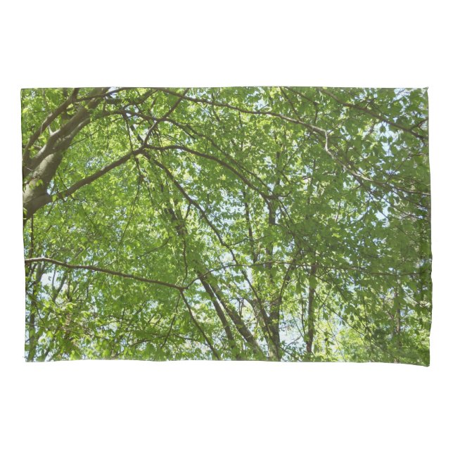 Housse D'oreillers Canopée du printemps Feuille Green Nature Scene (devant)