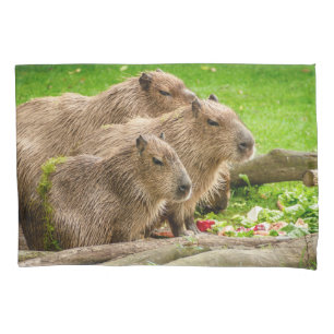 Housse D'oreillers Capybara Trio