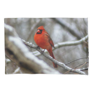 Housse D'oreillers Cardinal masculin