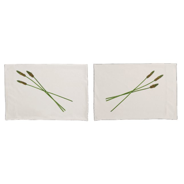 Housse D'oreillers Carl Doddy (devant-Set)