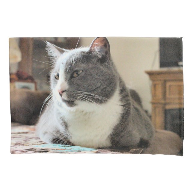 Housse D'oreillers Cat (devant)