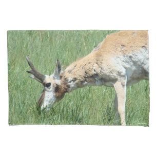 Housse D'oreillers Cerf brocard Antilope d'Amérique paissant