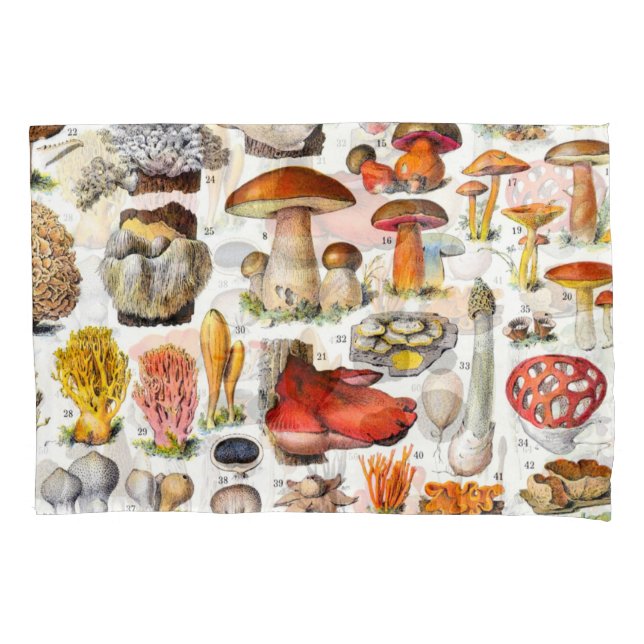 HOUSSE D'OREILLERS CHAMPIONNATS 2 (devant)