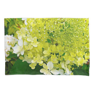 Housse D'oreillers Chartreuse Vert, Limelight Hydrangea,