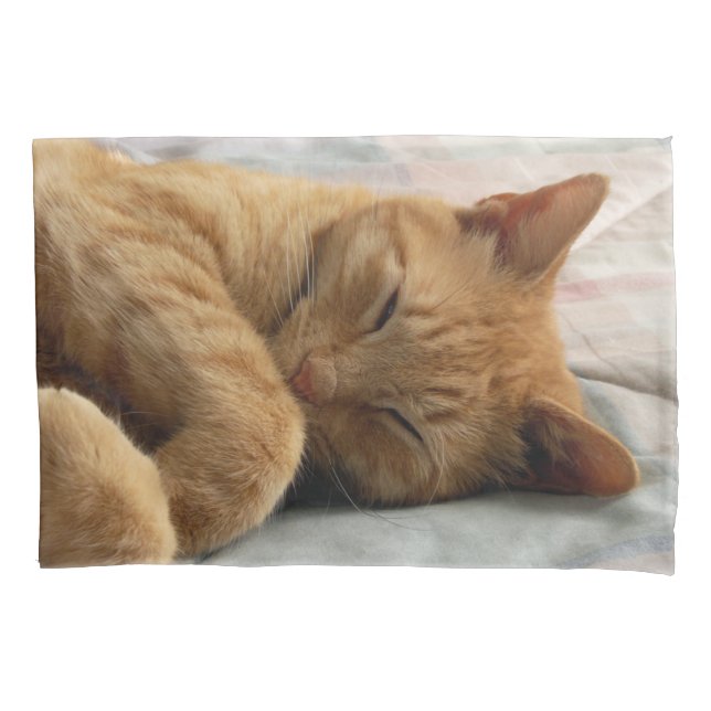 Housse D'oreillers Chat de Ginger (devant)