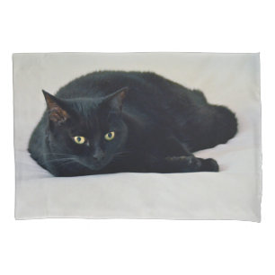 Housse D'oreillers Chat noir