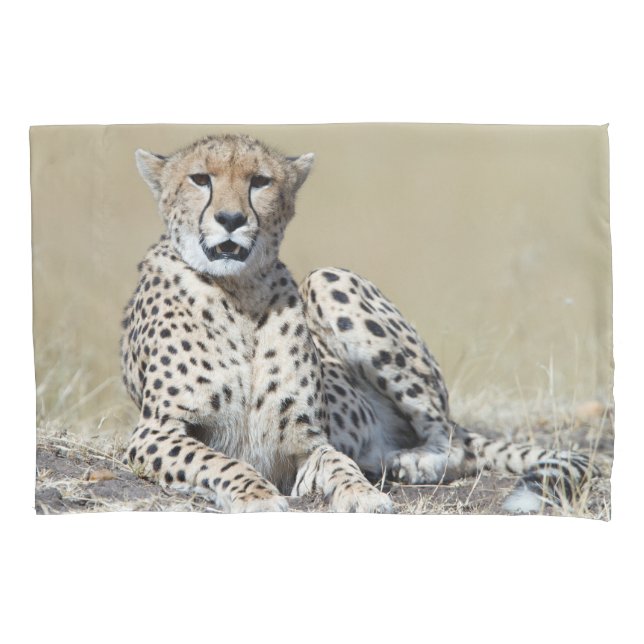 Housse D'oreillers Cheetah (devant)