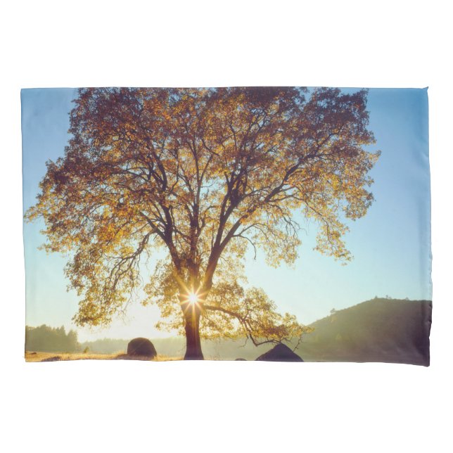 Housse D'oreillers Chênes noirs| Cleveland National Forest, CA (devant-gauche)