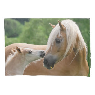 Housse D'oreillers Chevaux poulain de Haflinger et Coussin-Couverture