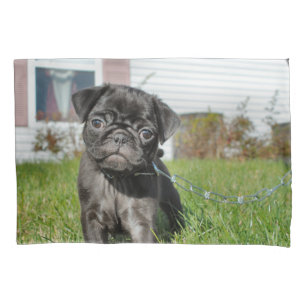 Housse D'oreillers Chiot en Carlin noir