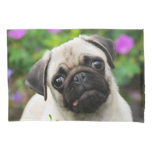 Housse D'oreillers Chiot fauve mignon de carlin - Coussin-Couverture