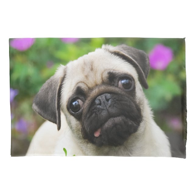 Housse D'oreillers Chiot fauve mignon de carlin - Coussin-Couverture (devant)