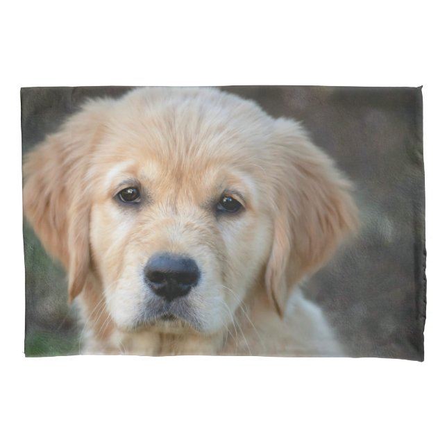 Housse D'oreillers Chiots Retriever doré (devant)